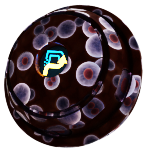 Microbiology preview